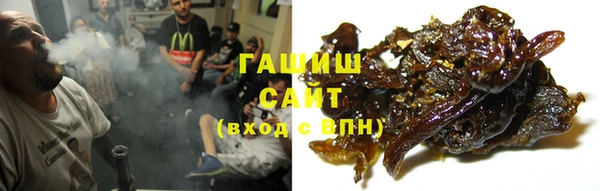 сатива Инсар
