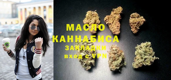 сатива Инсар