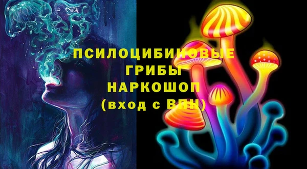 сатива Инсар
