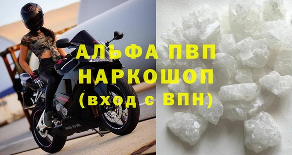 ECSTASY Инта