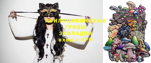 круглые Рославль
