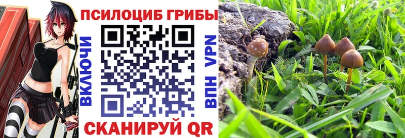Галлюциногенные грибы мицелий  Купить где  Иннополис 
